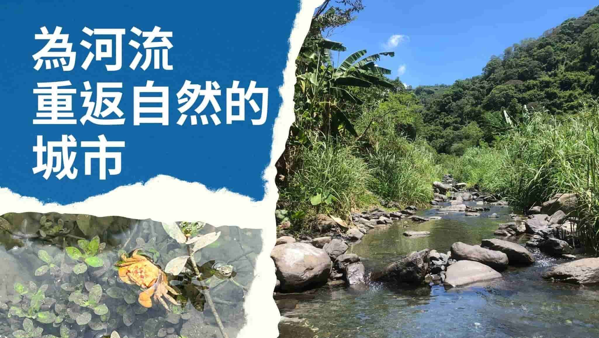 為河流重返自然的城市